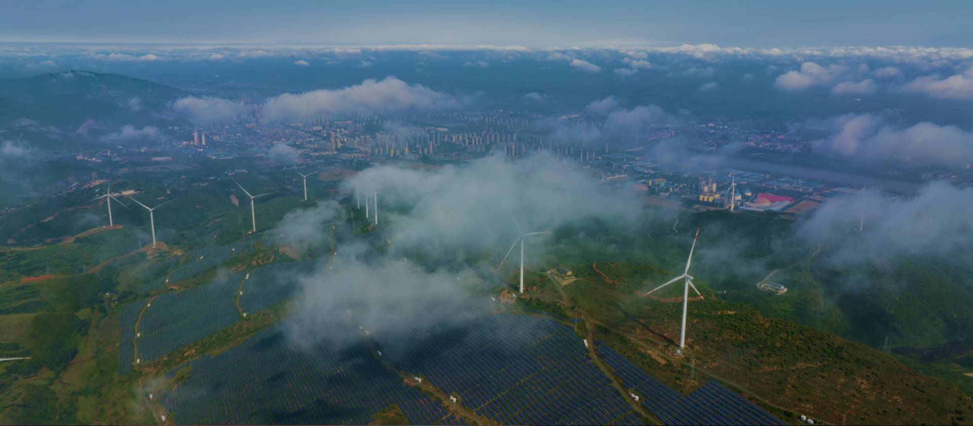 2025新澳门免费原料大全