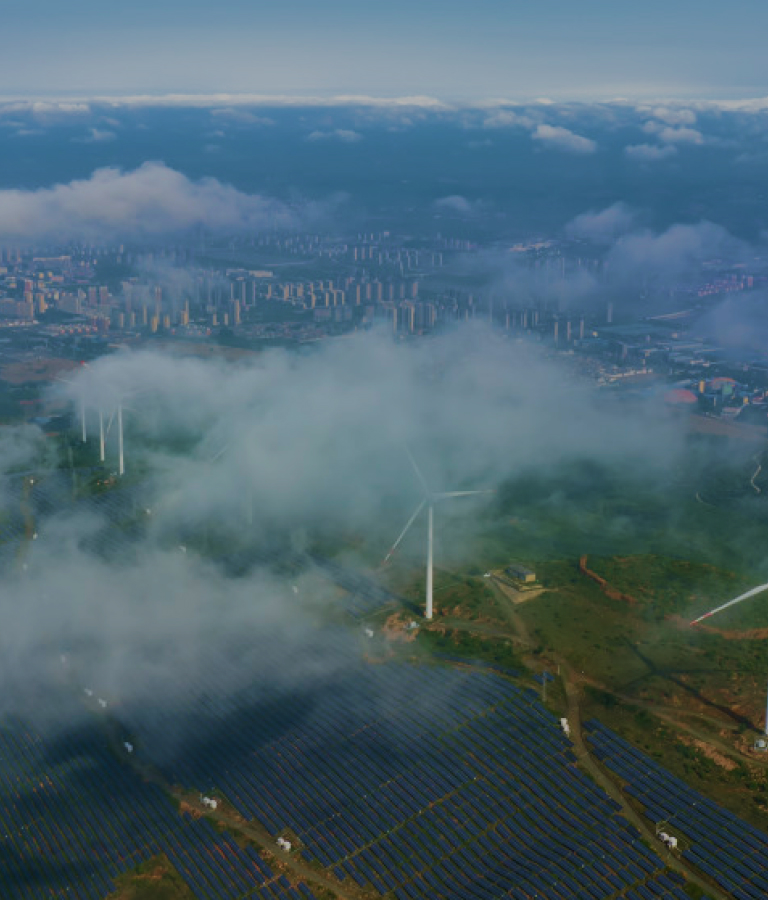 2025新澳门免费原料大全