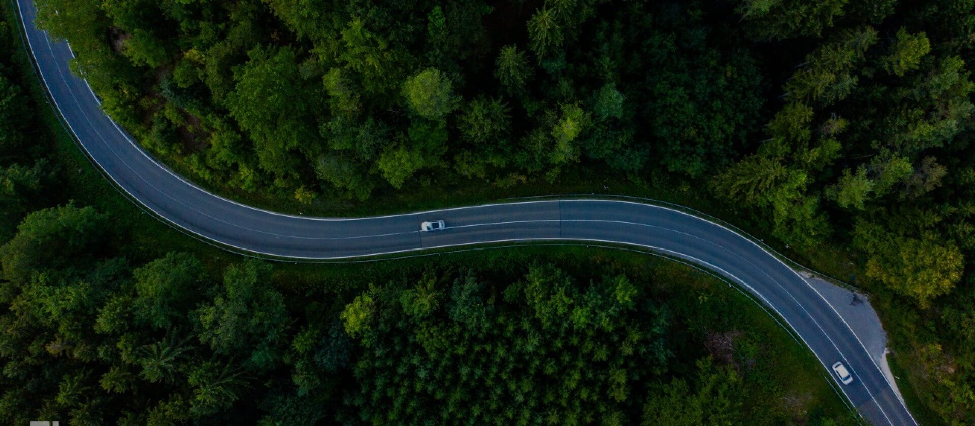 2025新澳门免费原料大全