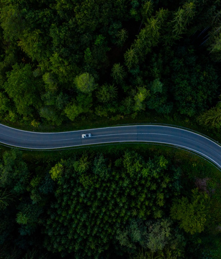 2025新澳门免费原料大全