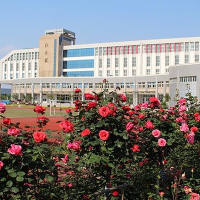 2025新澳门免费原料大全