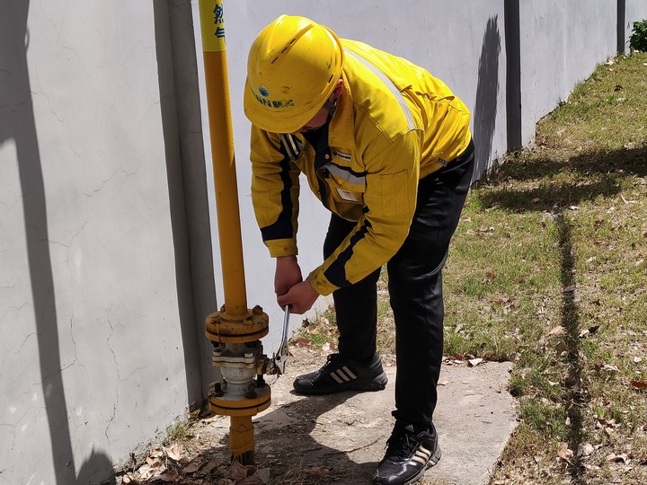 2025新澳门免费原料大全