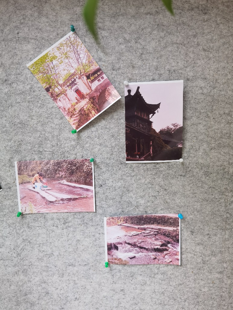 2025新澳门免费原料大全