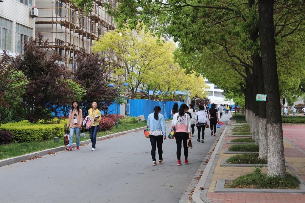 2025新澳门免费原料大全