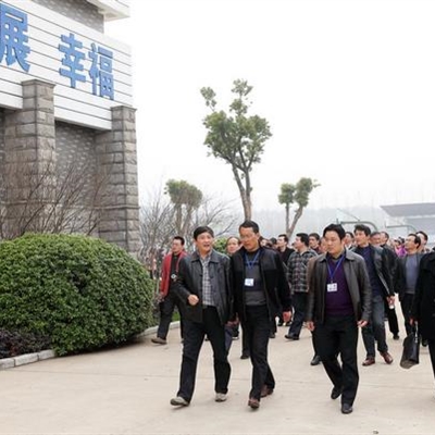 2025新澳门免费原料大全