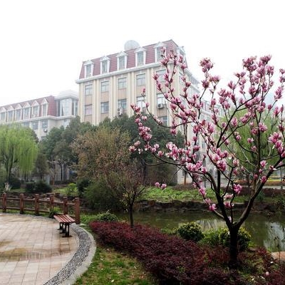 2025新澳门免费原料大全