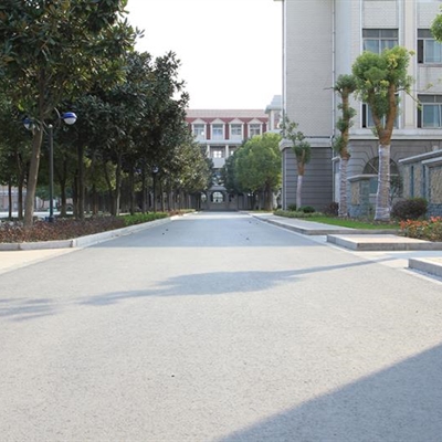 2025新澳门免费原料大全