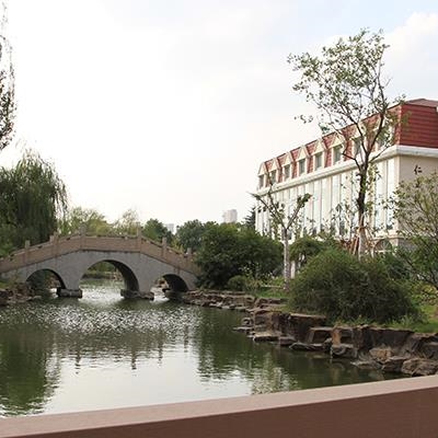 2025新澳门免费原料大全