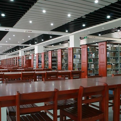 2025新澳门免费原料大全