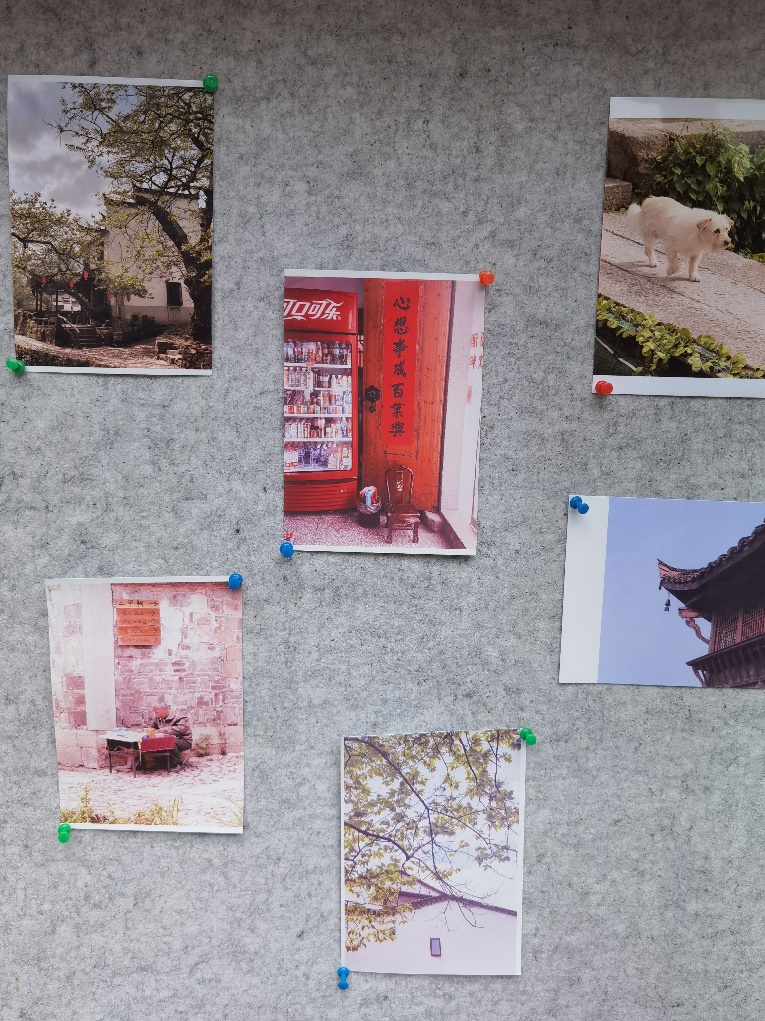 2025新澳门免费原料大全