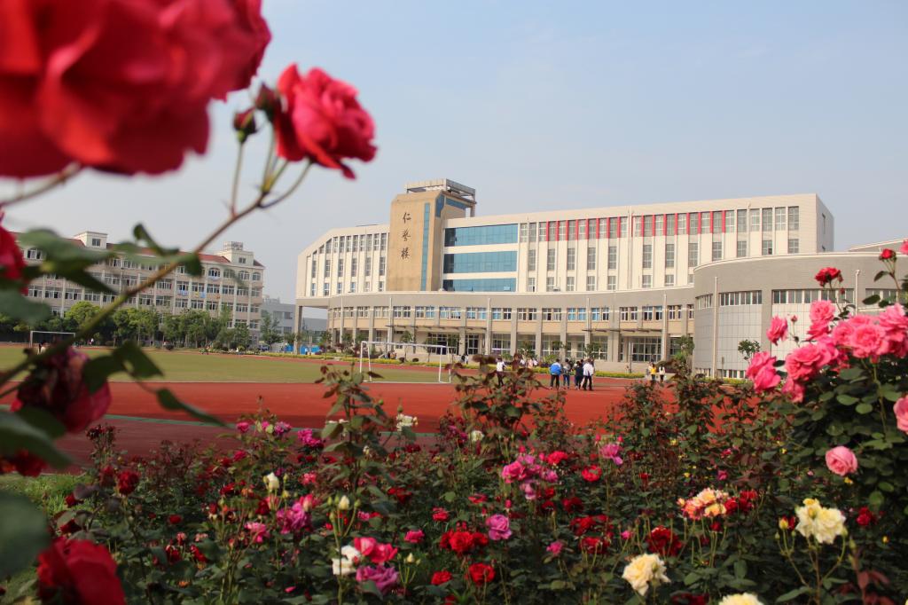 2025新澳门免费原料大全