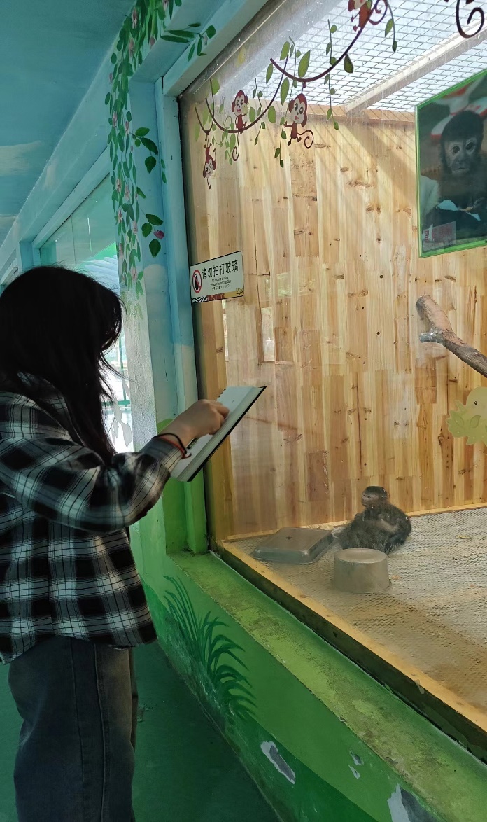 2025新澳门免费原料大全