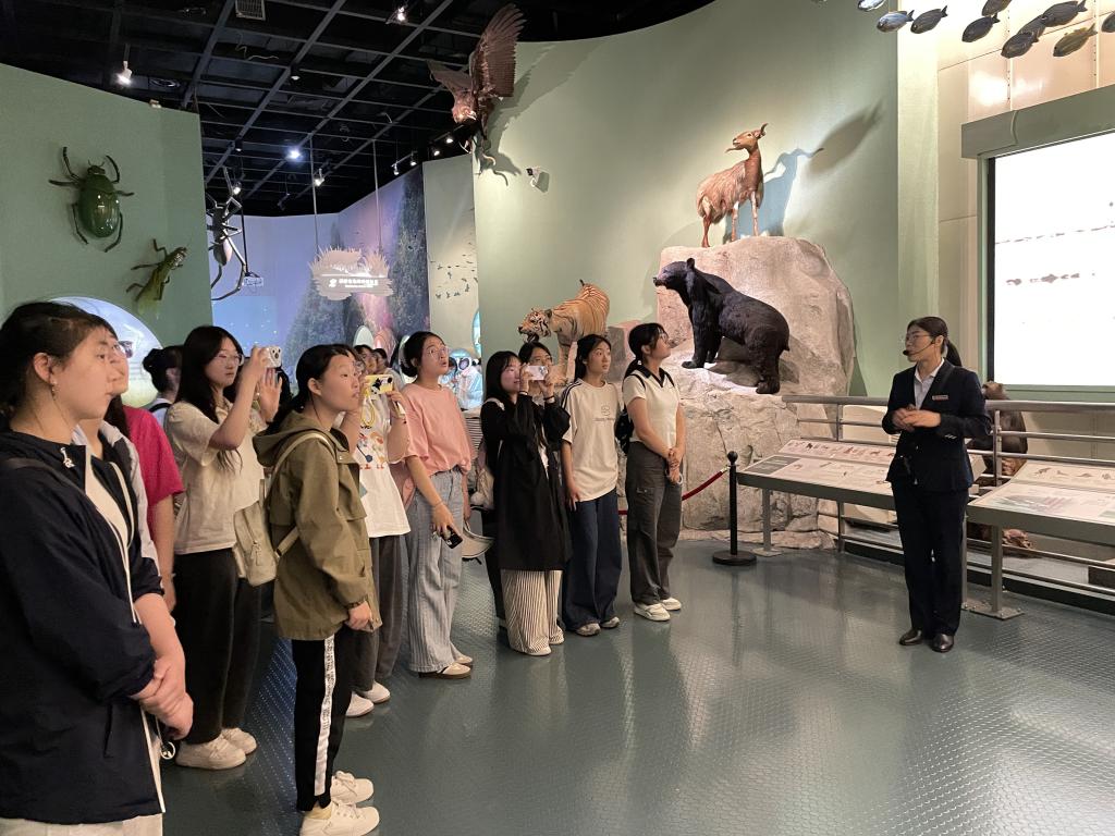 2025新澳门免费原料大全