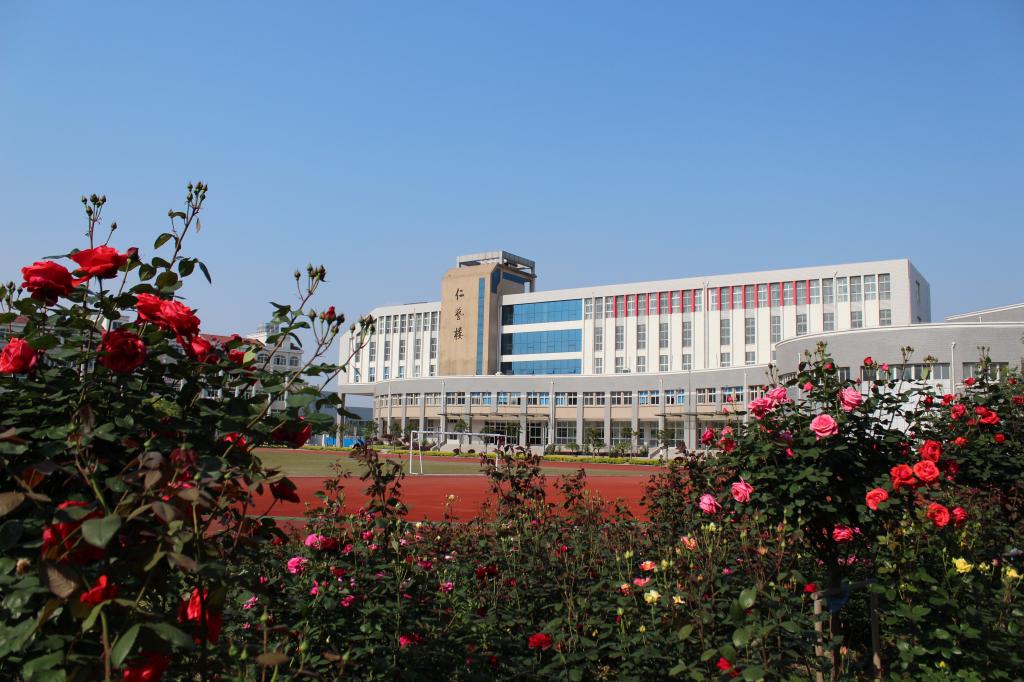 2025新澳门免费原料大全