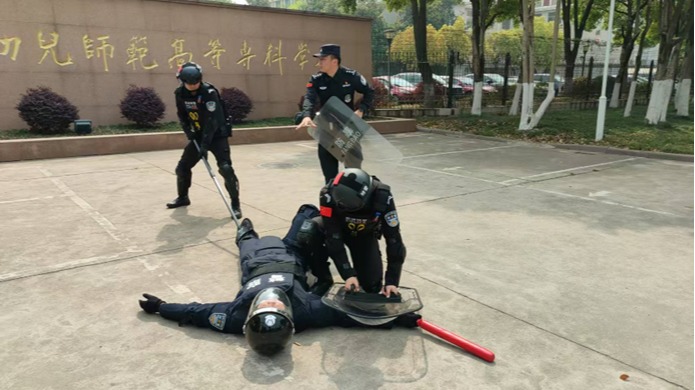 2025新澳门免费原料大全