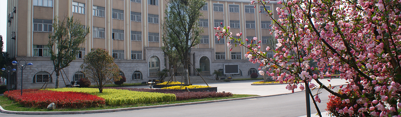 2025新澳门免费原料大全